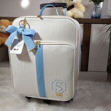 Mala Maternidade Média em Juiz de Fora